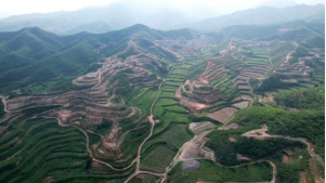 圖片關(guān)鍵詞